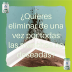 gid://shopify/MediaImage/25388449005686